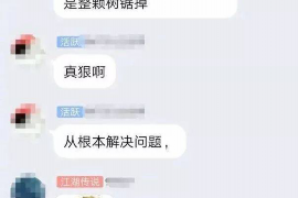 张北融资清欠服务